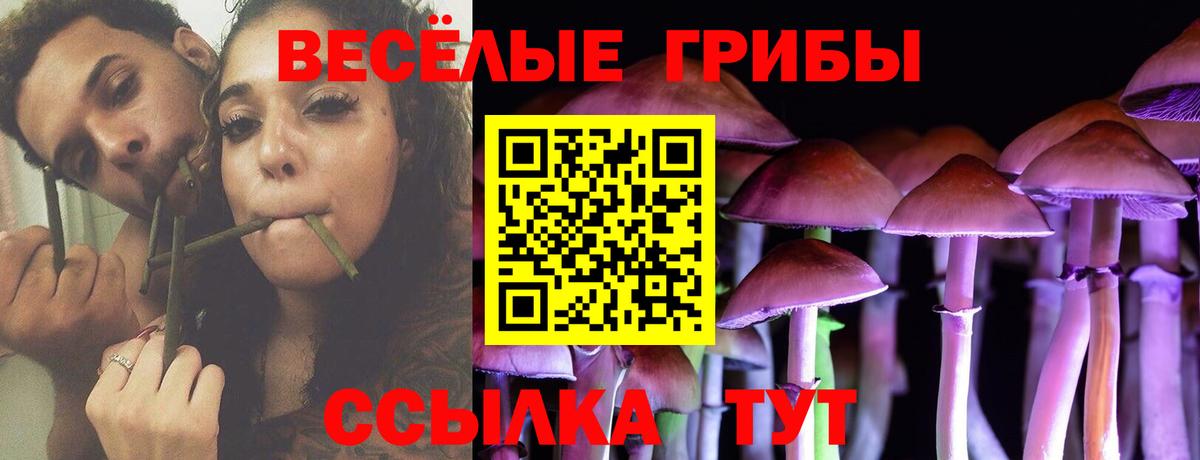 Галлюциногенные грибы GOLDEN TEACHER Изобильный